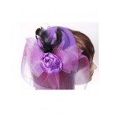 Hair Fascinator Large Net